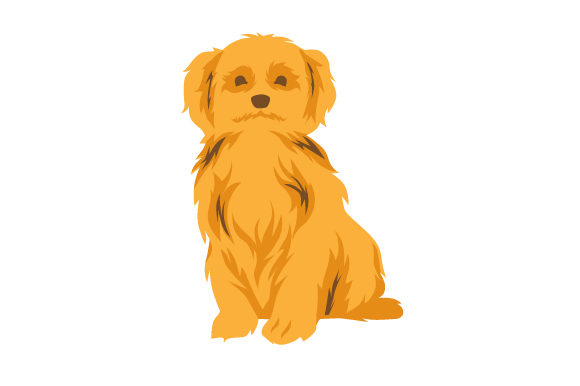 3D Goldendoodle
